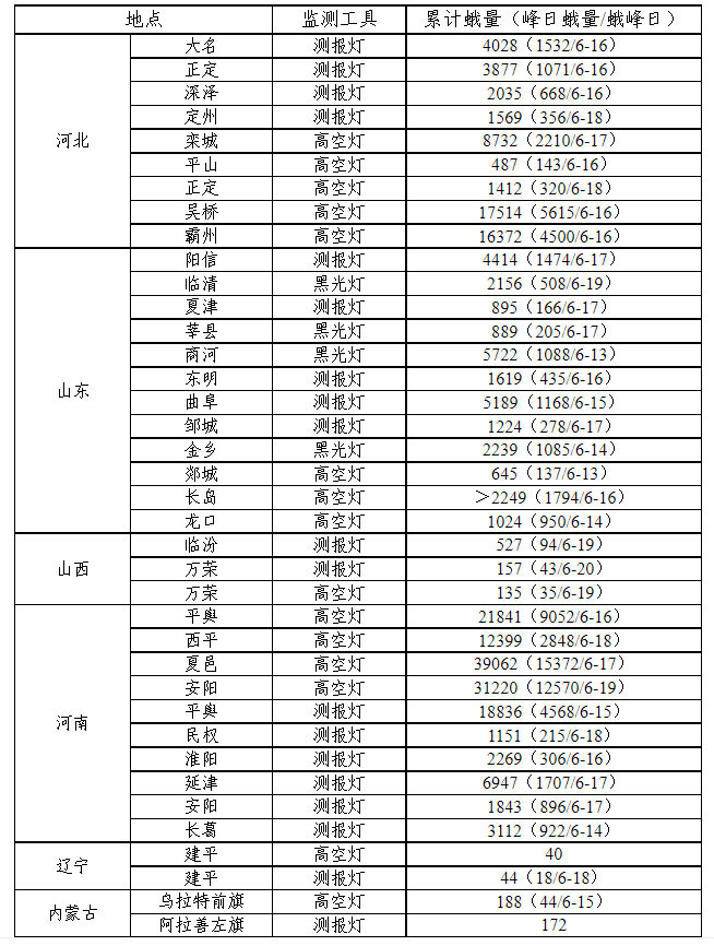 黃淮華北出現棉鈴蟲遷飛高峰 警惕玉米大豆多作物集中危害